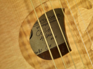 Ceilidh (Kaylee) Acoustic Masterpiece by Gerhards Guitarworks